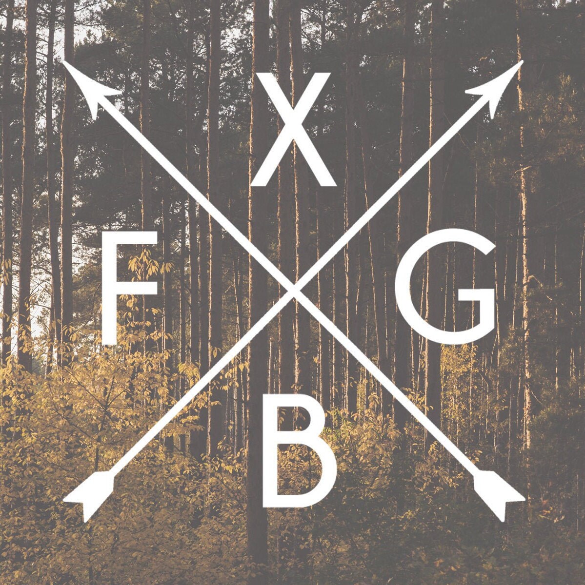 Fredericksburg, FXBG arrow vinyl decal